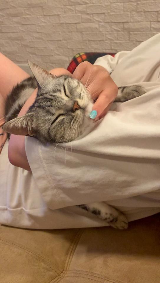 気持ちいいにゃ～＝あんこさん（@cat_anko3）提供