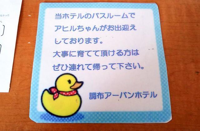 「ぜひ連れて帰って下さい」ホテルのかわいすぎるお出迎えが話題「最高のサービスを受けてしまった」