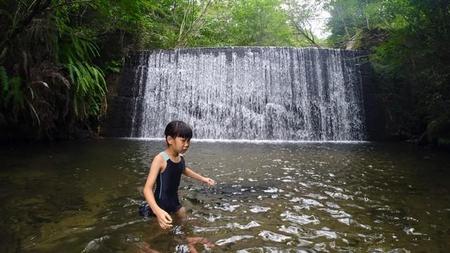 渓流で水遊びする子ども。背後の堰堤には危険が潜んでいます（zheng qiang/stock.adobe.com)