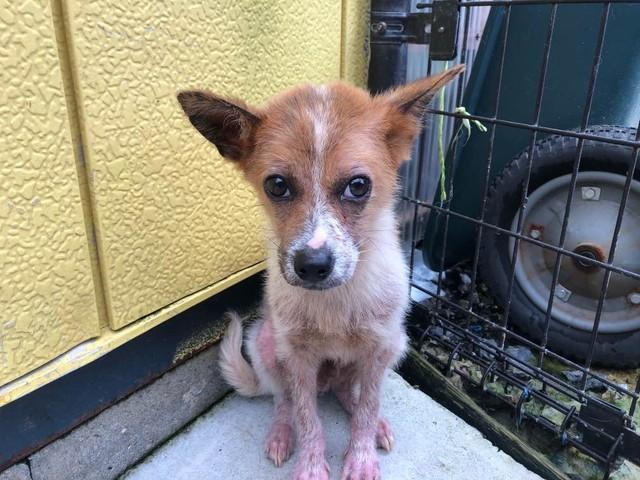 治療を始めた頃のリチャード