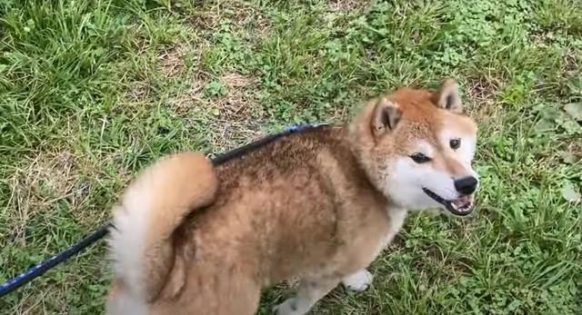 怒りんぼうだった元就が、長い年月をかけて幸せを掴みました