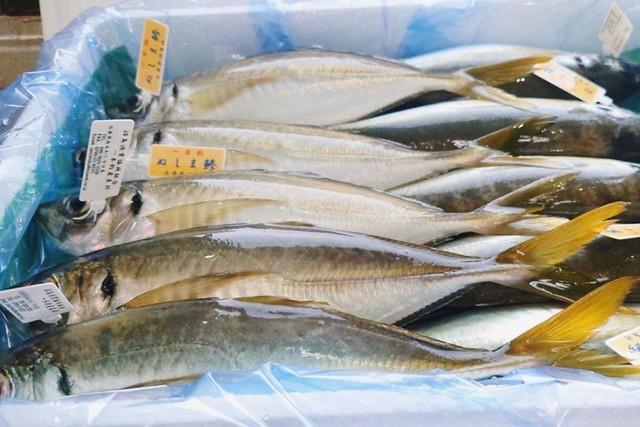 淡路島の「アジ」が関東で人気って……どゆこと？　旨さの秘訣