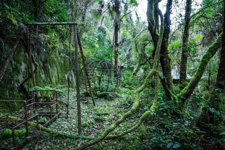 緑におおわれ自然に帰ろうとしている公園の光景…（えぬびいさん提供）