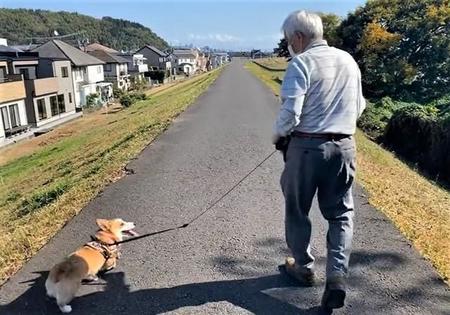 10年ぶりに犬との散歩を楽しむおじいさんの動画が話題に（つみれさん提供、Twitterよりキャプチャ撮影）