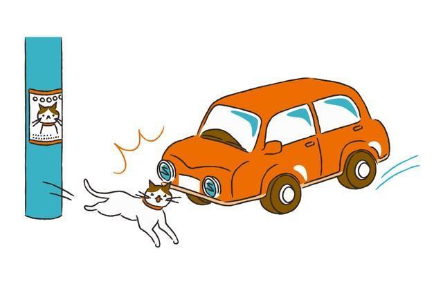 動物との交通事故に遭遇することも（eringo/stock.adobe.com）