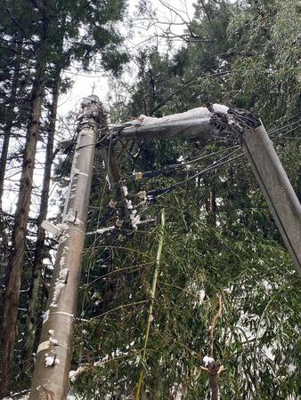新潟県内を襲った大雪。佐渡市南部では無残に折れた電柱が見つかった（レンガさん提供）