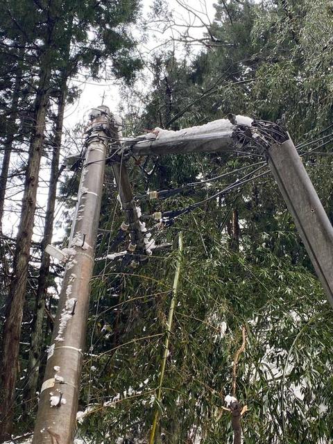 「メッキメキのバッキバキ！」佐渡島でも大雪、無残に折れた電柱…続く停電に不安が募る住民の声を聞いた
