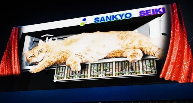 大阪の下町に出現！巨大猫の3Dプロジェクションマッピング　ネコ社員で話題の三協精器工業、“副社長”らを映像投影