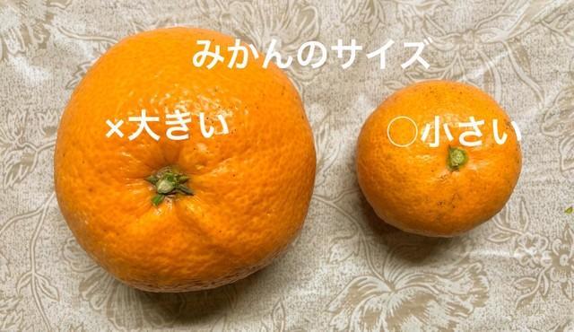 サイズが大きすぎると大味なことも。小ぶりな方がベターです（画像提供：戸田果樹園）