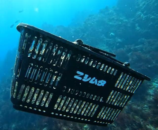静岡・伊豆の海を漂うレジカゴ　鹿児島のホームセンターから流れてきた？　「ケンカして海に飛び込んだ？」