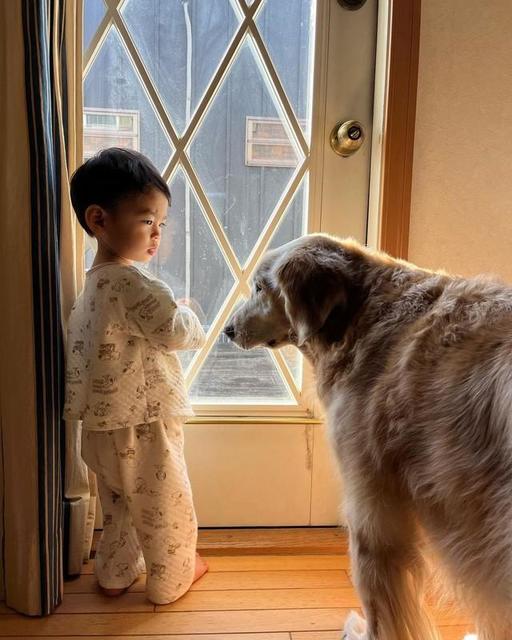 窓辺で見つめあう男の子とゴールデンレトリバー この光景、がんで亡くなった夫に見せたかった