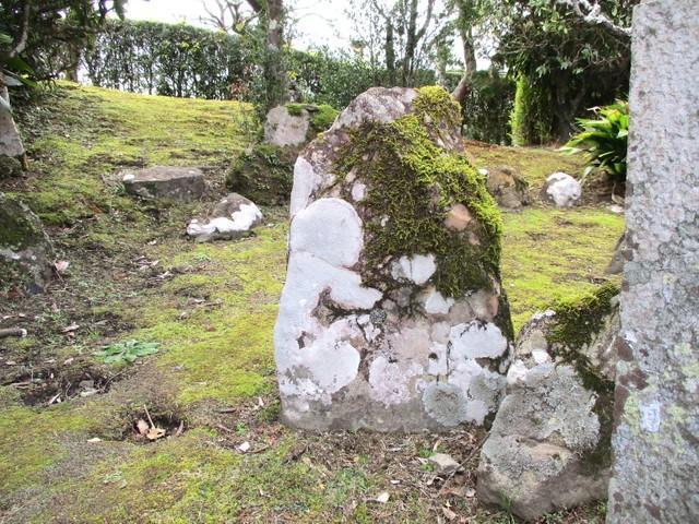 卯年の始まりに縁起がいいね うさぎ模様が武家屋敷の庭石に出現 観光客もたらす「招き」効果も