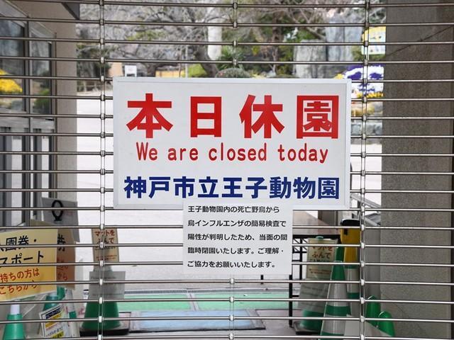 ２月２日朝から急遽「臨時閉園」となった神戸市立王子動物園