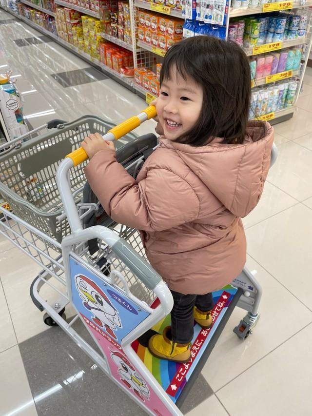 このカートなら小さな子供でも買い物を楽しめそう！（タナイさん提供）