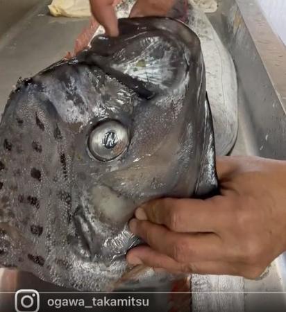 リュウグウノツカイの口を開けてみると…（画像は動画のスクリーンショット）