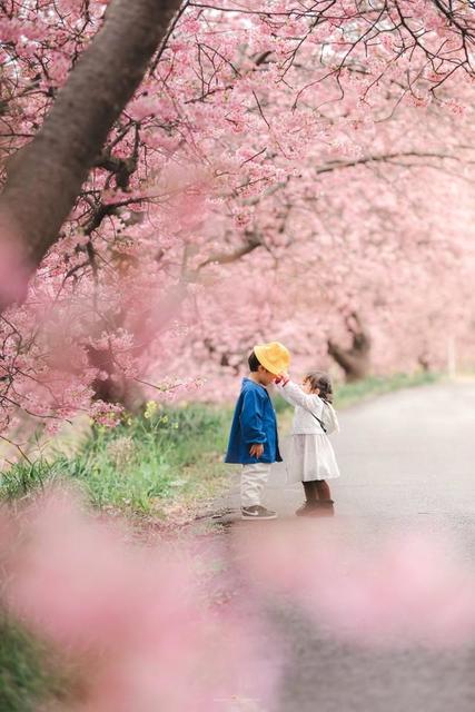 「お兄ちゃんが大好きな、優しい妹」の姿に泣ける　満開の桜の下でのやりとりに「心がぽかぽかします」