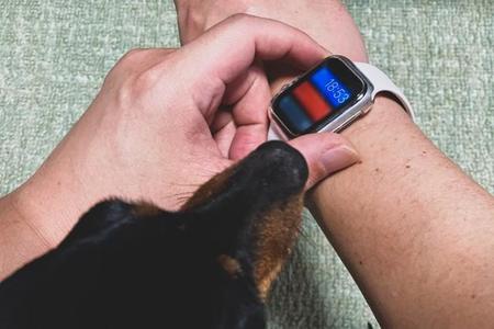 突然消えたスマートウォッチ、アプリ上では「自転車に乗っている」と表示…まさか！？ 愛犬の誤飲が発覚、それでも不幸中の幸いとは