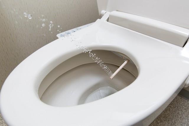 公共トイレの「シャワー機能」…感染リスクは大丈夫？ 医師に聞いた→「統計的にない」「携帯持ち込みの方が危ない」