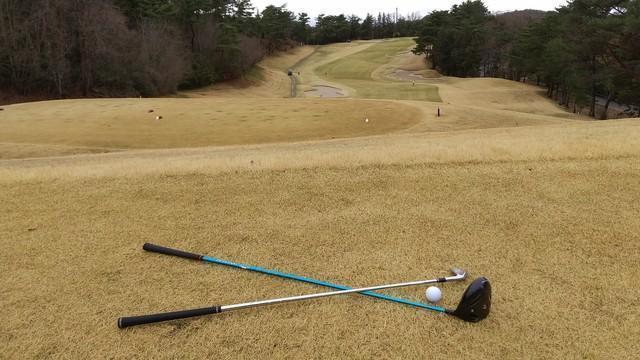 3月末の某日、緑が待ち遠しい