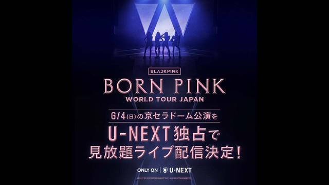 チケット即完！BLACKPINK3年ぶりの日本公演がU-NEXT見放題ライブ配信決定　6月4日から1週間、見逃し配信も