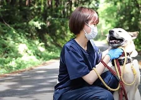 飼い主が死去　愛護センターに収容されたガリガリの猟犬　今ではスタッフにデレデレ＆ふっくらボディ「大きな赤ちゃんです」
