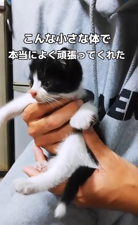 切断の可能性も告げられたが…（三吉さん提供、Instagramよりキャプチャ撮影）