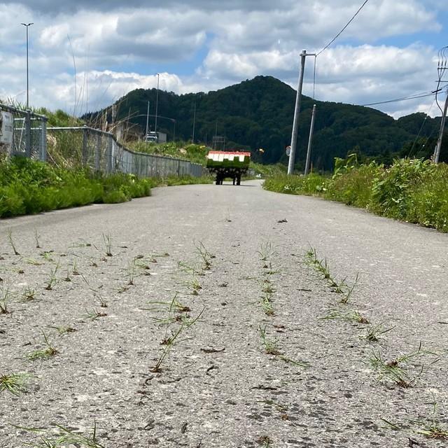 気付かずに走り続ける夫が運転する田植え機（あすかさん提供）