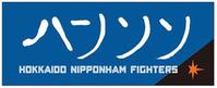 アレン・ハンソン選手の直筆応援タオル(北海道日本ハムファイターズ公式ホームページより)