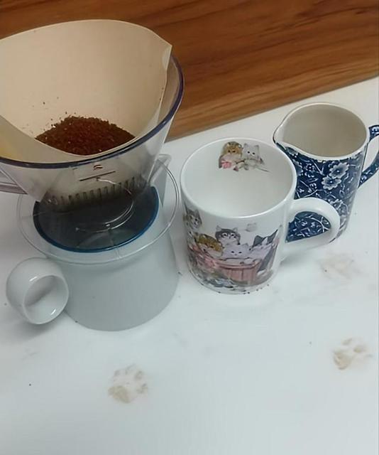 コーヒー粉をキッチンにぶちまけ→粉を払うと猫の足跡が浮かび上がった！→肉球や状況から被疑者特定へ