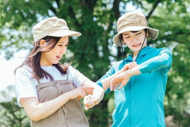 【キャンプ・グランピング】8割強が「虫が気になる」　苦手な虫の3位「蚊」、2位「ゴキブリ」、1位は？