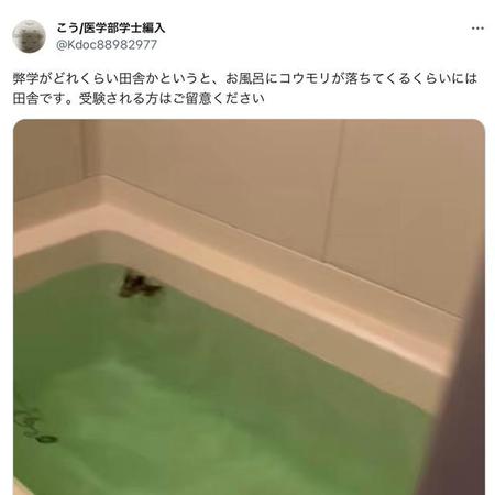 「え、嘘でしょ！」深夜、ひとり暮らしの家に帰宅したら風呂場から「ぴちゃぴちゃ」→黒い生き物が泳いでいた