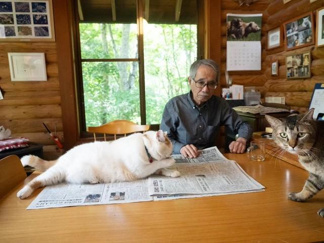 「新聞に乗りたかった」新入り猫、先輩猫がシャーと追い払う”一部始終”に爆笑　「最強」「もうジャイアン」