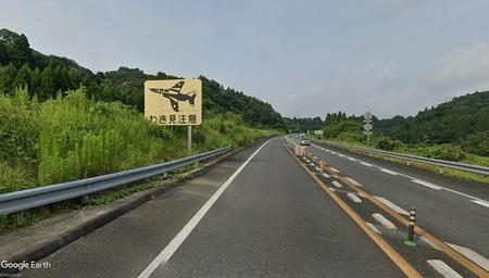 東九州自動車道の「わき見注意」標識、「ブルーインパルス」がデザインの謎　NEXCO西日本に聞いた