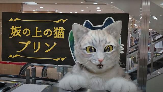 アルバイト猫ミクちゃん（画像提供：源田晃一氏）