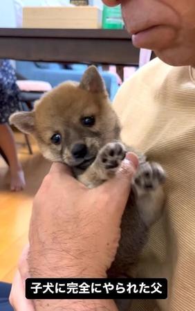 もしや、ソラちゃん困ってる…！？（Sakuraママさん提供、Instagramよりキャプチャ撮影）