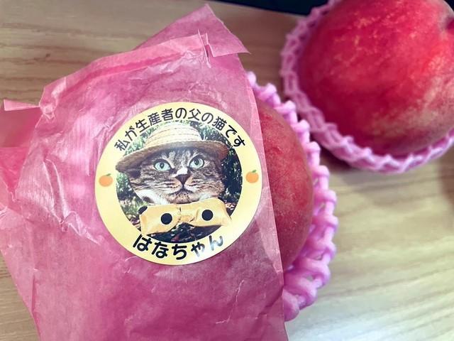 「私が生産者の父の猫です」…奇想天外な生産者シールが話題（樋口かおるさん提供）