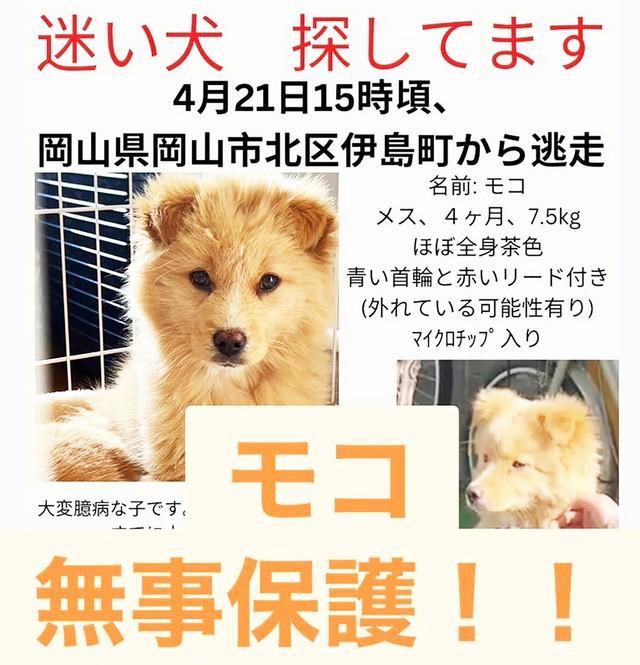 モコ脱走後、すぐにSNSなどで拡散されたビラ