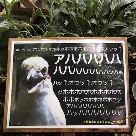 「アハハハッハッ↑オゥッ↑」解説パネルがオモシロすぎる動物園　個性あふれるパネルの謎を広報担当に聞いた