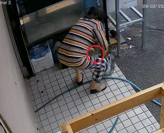 【動画】「恥ずかしくないのか！」白昼堂々、熱帯魚店から瓶と水草盗む女性　店が警告「ご連絡がない場合、映像を警察に提出します」