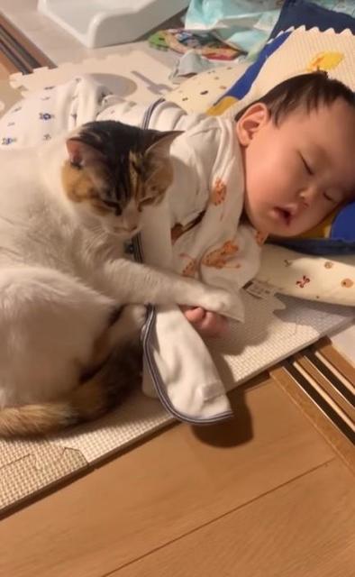 「この子は絶対に離さないニャ」赤ちゃんをギュッとして眠る猫さん…「愛が凄すぎる」「尊いわぁ」