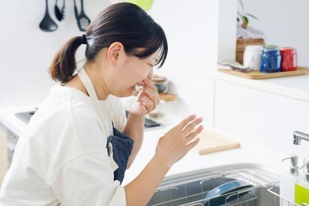 家の気になる臭いは「キッチンの料理・生ゴミ臭」が最多　※画像はイメージです（polkadot/stock.adobe.com）