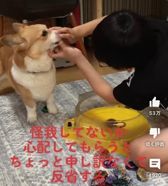 チリちゃんを心配する息子さん（画像は動画よりスクリーンショット）