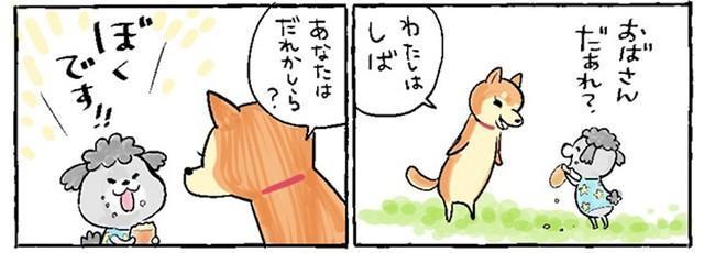 【漫画】亡くなった愛犬が先代の犬と会った話　「なんてうれしい出会い」「笑いながら泣ける」