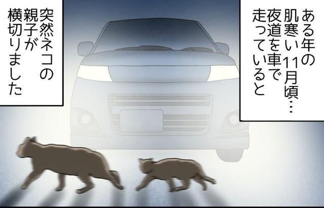 【漫画】「寒い夜、水路に落ちた子猫を救ってくれた女性」の話　どうやって？笑顔で立ち去った姿に感動