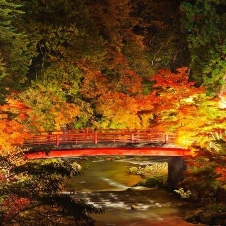 圧巻！この秋に見たい「夜の紅葉絶景」ランキング　1位は「青森県の中でも有数の紅葉の名所」