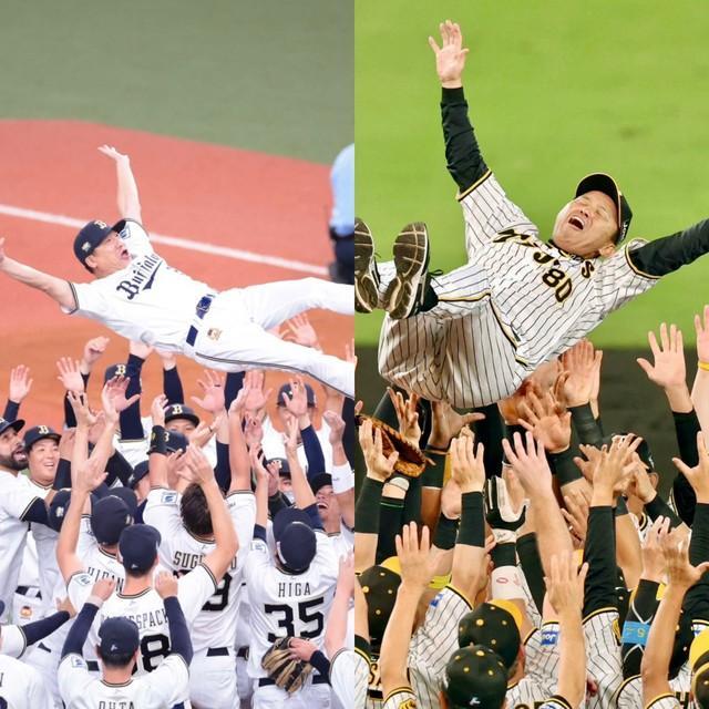 胴上げされるオリックス中嶋監督と阪神岡田監督。両チームによる“関西ダービー”実現に対しては両チームファンからさまざまな声が…