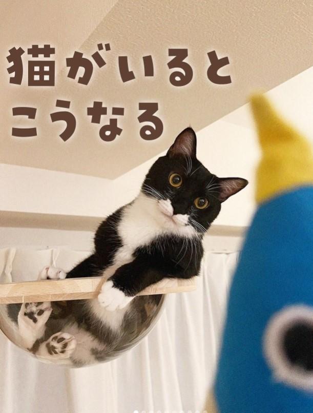 「猫がいるとこうなる」愛猫家が猫の日常あるあるを紹介した投稿が話題に（「ぽんひろ」さん提供、Instagramよりキャプチャ撮影）