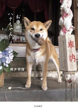 「犬が破いた障子から太陽が昇ってきた」小さな世界に光が差す絶景に…思わず「拝んでしまう！？」