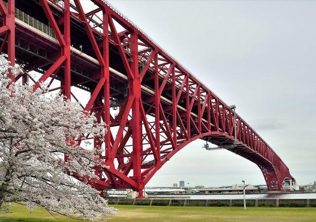 桜が咲く時季に港大橋臨港緑地から（画像提供：阪神高速道路株式会社）