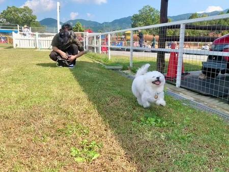 「漫画の世界の犬の笑顔じゃん」でもお目めが実は…？飼い主さんに詳しく聞いた